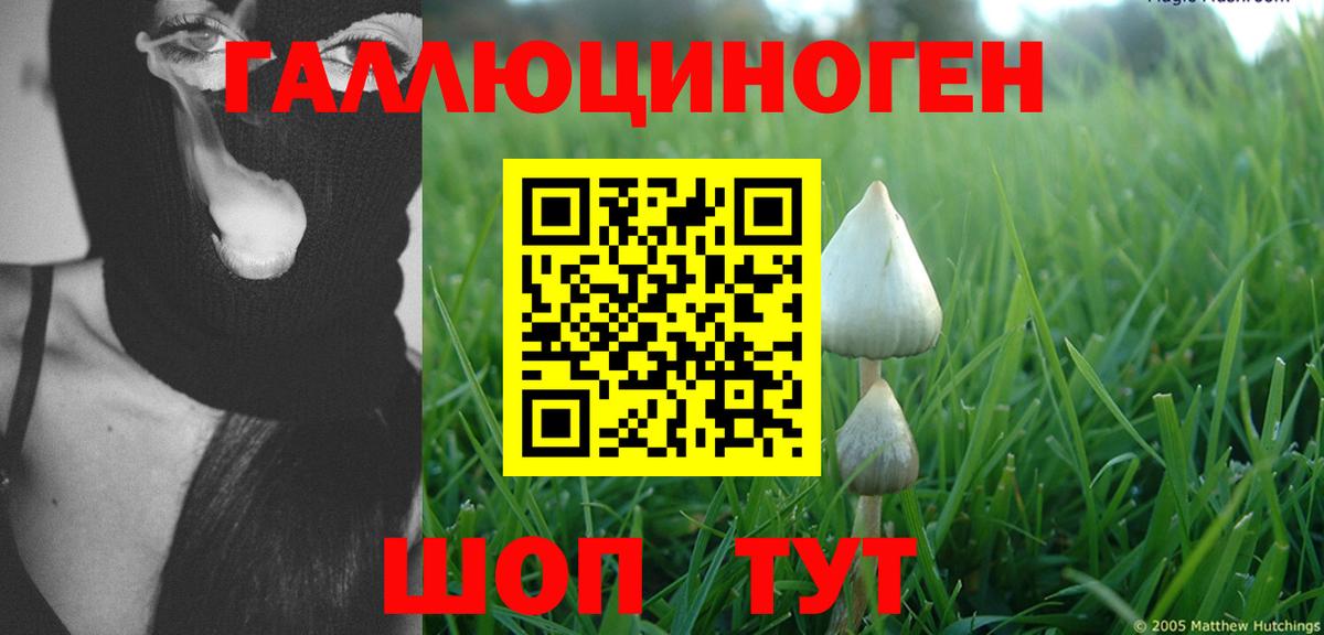 Галлюциногенные грибы Cubensis Будённовск