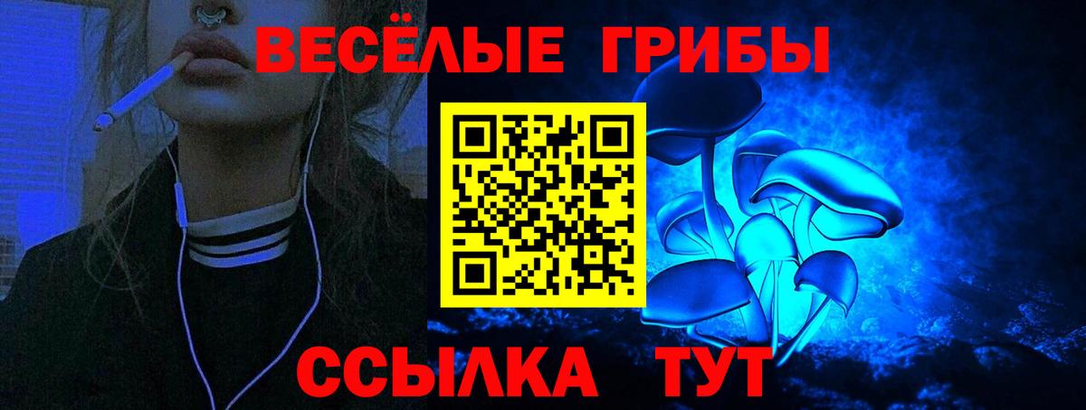 Будённовск  купить   Вход с VPN  Галлюциногенные грибы прущие грибы  Галлюциногенные грибы ЛСД 